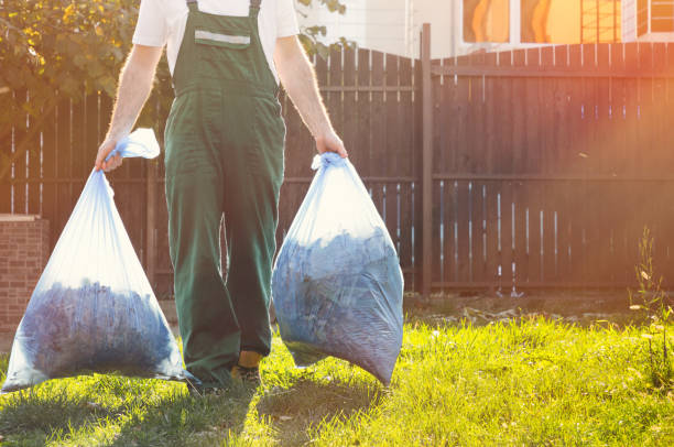 Best Office Junk Removal  in Collingdale, PA