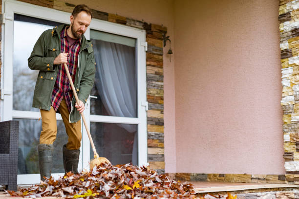 Best Estate Cleanout Services  in Collingdale, PA