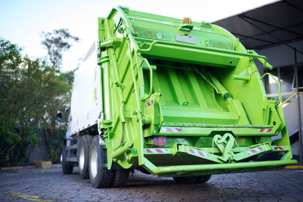 Best Basement Cleanout Services  in Collingdale, PA
